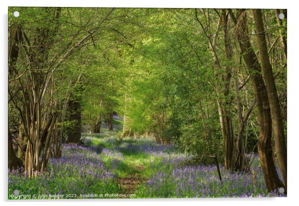 Bluebell Woodlands Warwickshire #03 - April 2022 Acrylic by Alan Ranger
