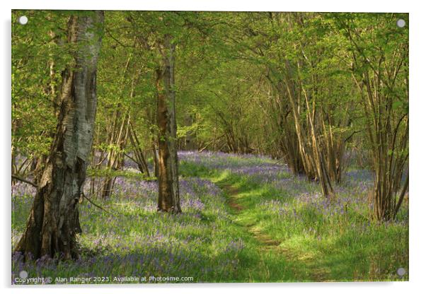 Bluebell Woodlands Warwickshire #10 - April 2022 Acrylic by Alan Ranger