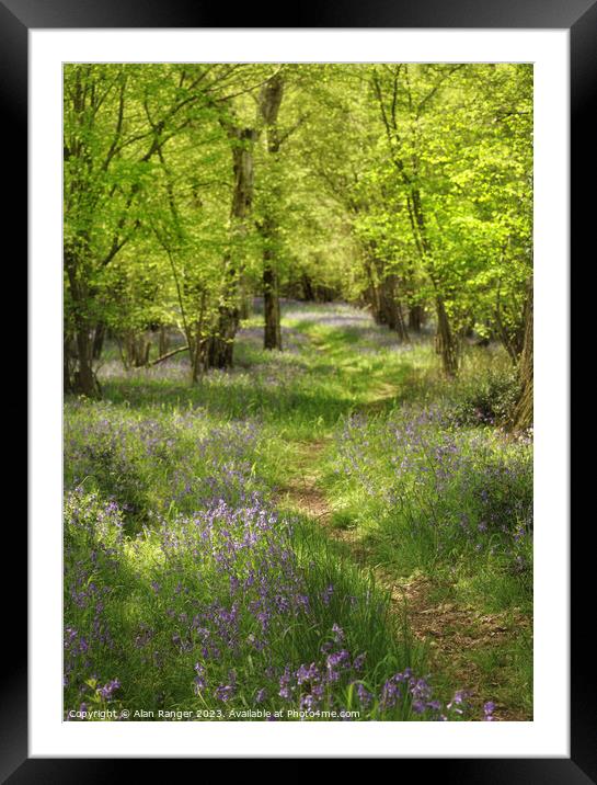 Bluebell Woodlands Warwickshire #14 - April 2022 Framed Mounted Print by Alan Ranger