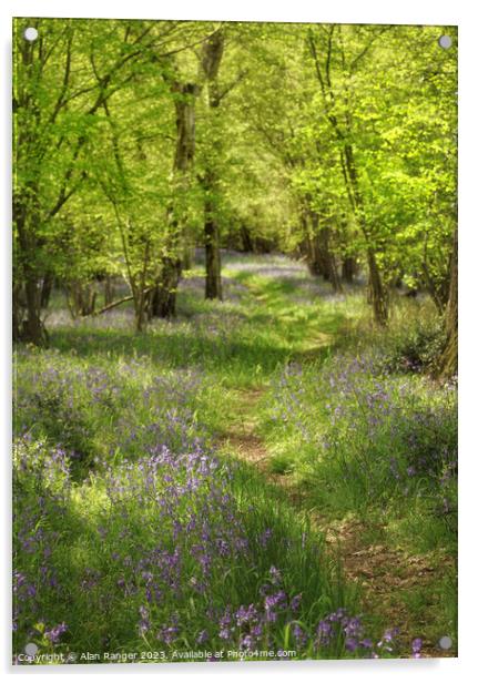 Bluebell Woodlands Warwickshire #14 - April 2022 Acrylic by Alan Ranger