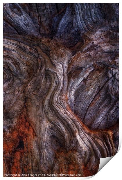 bark study 5 Print by Alan Ranger