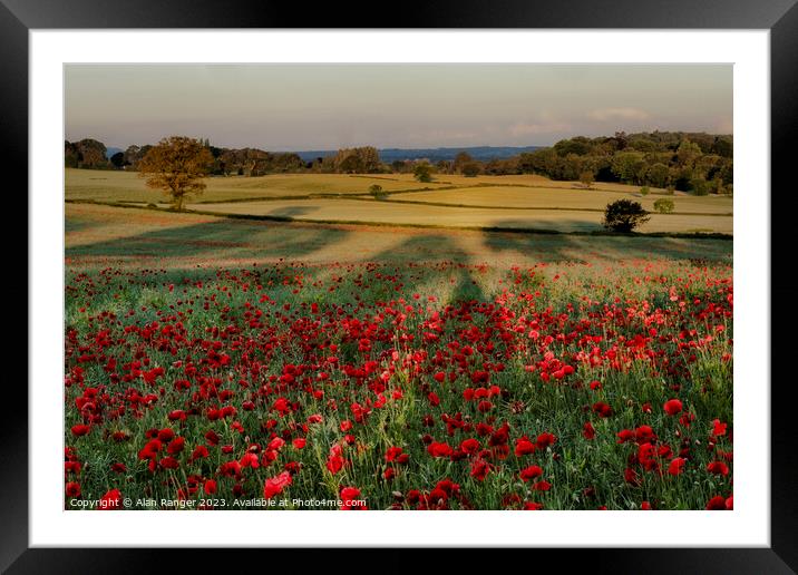 6-6-2019 Poppies 3 Framed Mounted Print by Alan Ranger