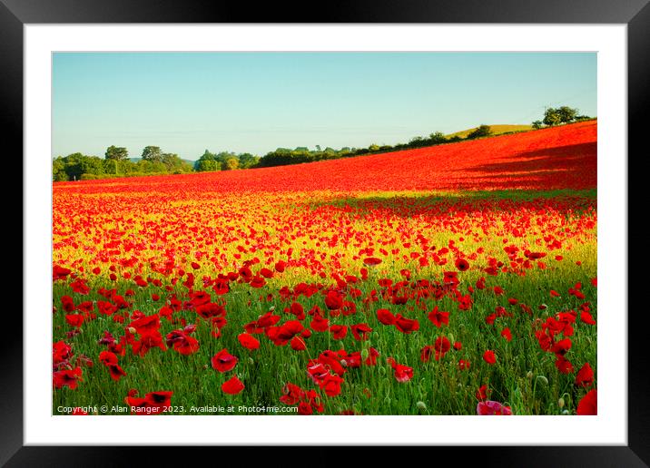 Poppy Field Framed Mounted Print by Alan Ranger