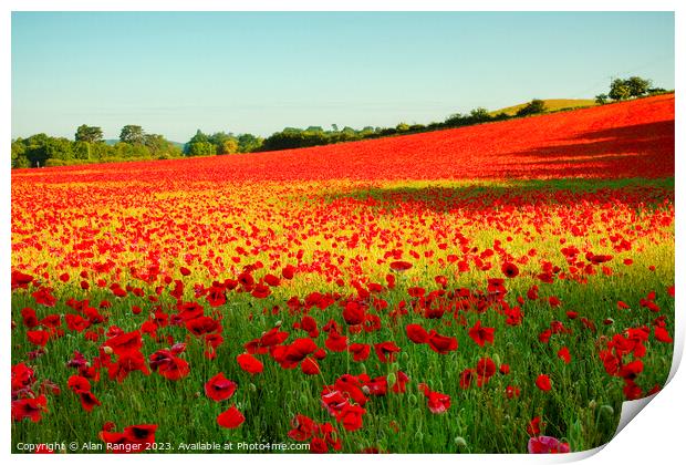 Poppy Field Print by Alan Ranger