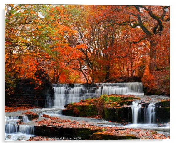 Majestic Autumn Waterfall Acrylic by Les Schofield