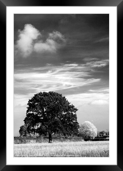 Sky cloud Framed Mounted Print by Les Schofield