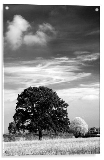 Sky cloud Acrylic by Les Schofield