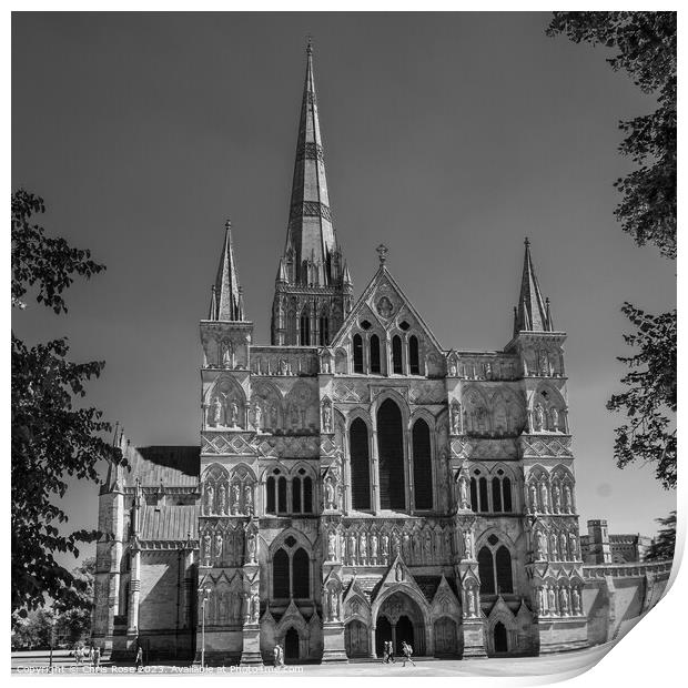 Salisbury Cathedral Print by Chris Rose