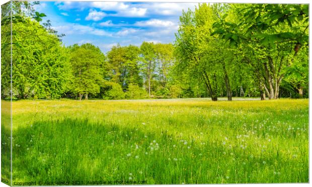 Spring meadow with fresh green grass Canvas Print by Alex Winter