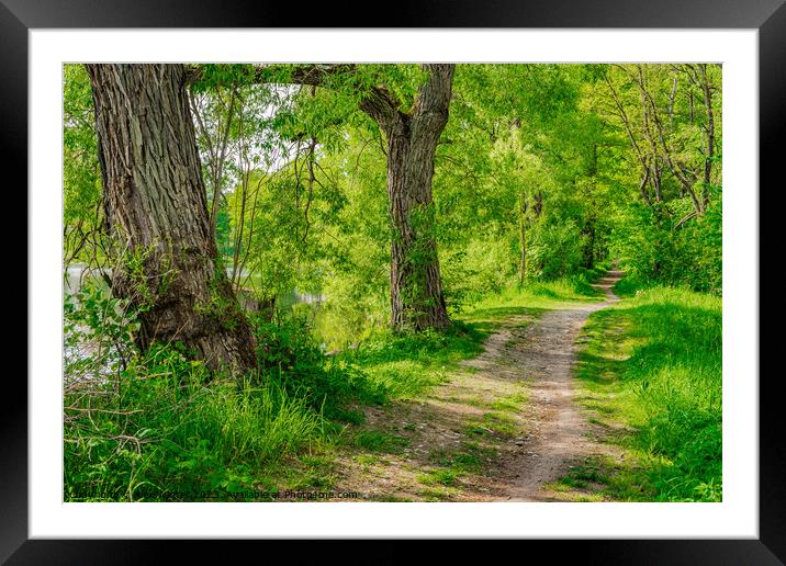 Dirt road along lake Framed Mounted Print by Alex Winter