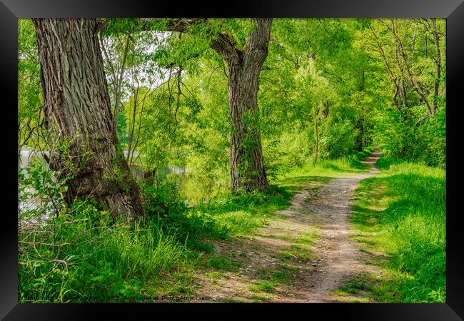 Dirt road along lake Framed Print by Alex Winter