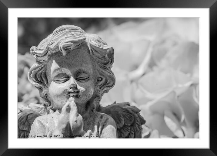 Little praying angel Framed Mounted Print by Alex Winter
