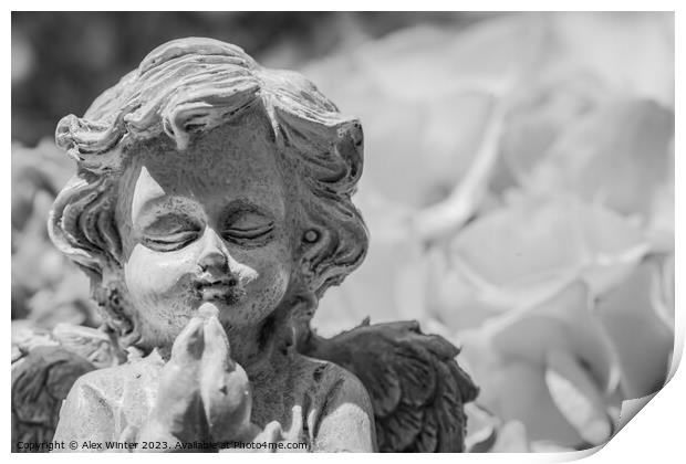 Little praying angel Print by Alex Winter