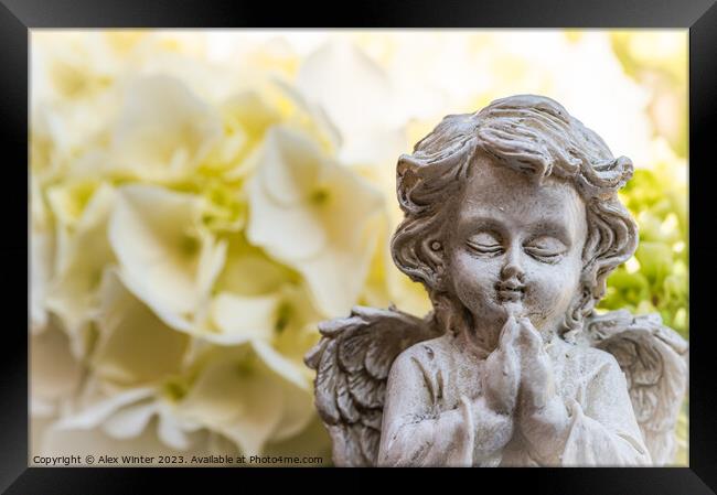 Praying angel Framed Print by Alex Winter