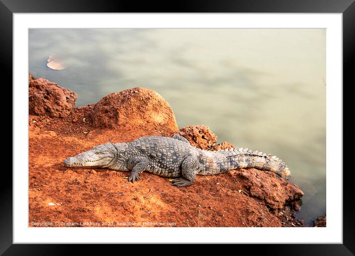 Never Smile at a Crocodile! Framed Mounted Print by Graham Lathbury