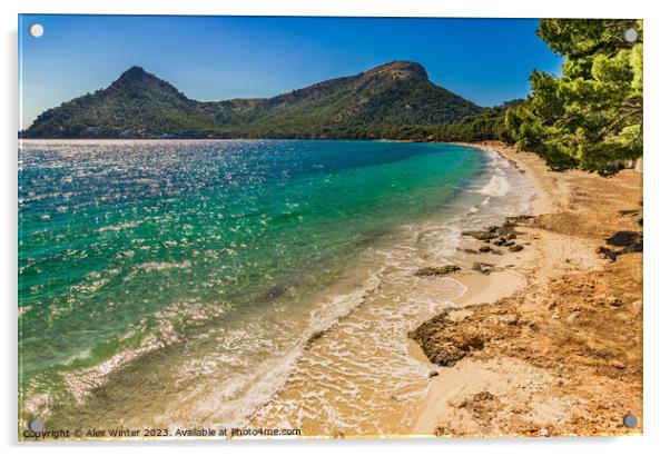 Platja de Formentor Acrylic by Alex Winter