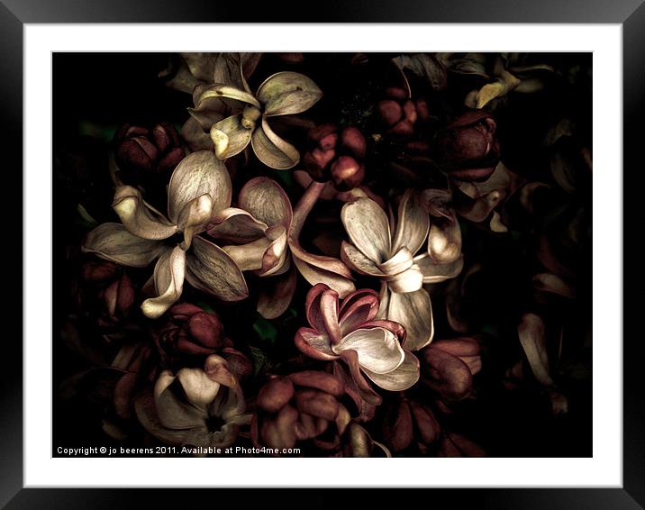 dark flowers Framed Mounted Print by Jo Beerens