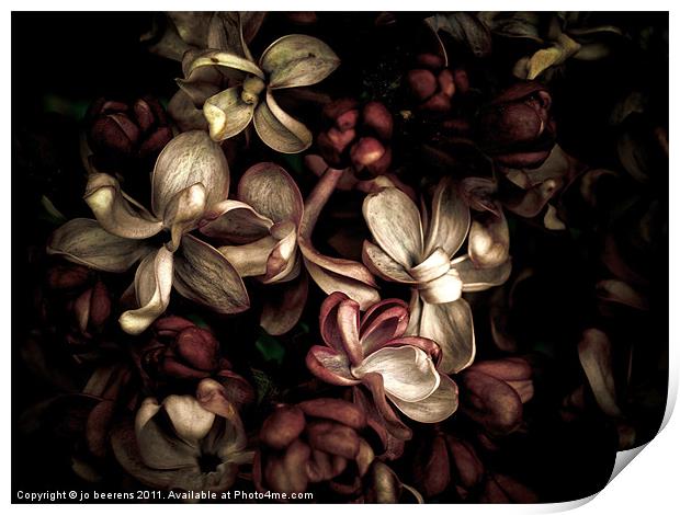 dark flowers Print by Jo Beerens