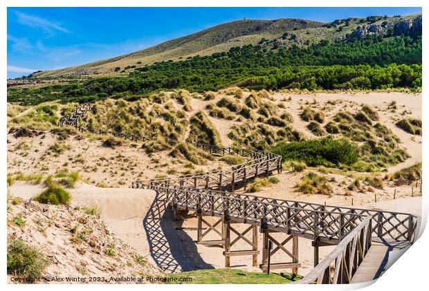 Wooden footbridge over sand dunes on Majorca Print by Alex Winter