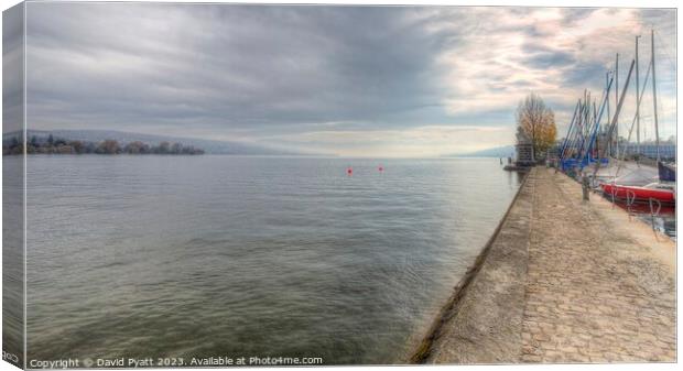 Lake Zurich Switzerland Panorama   Canvas Print by David Pyatt