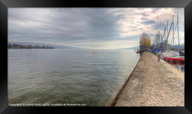 Lake Zurich Switzerland Panorama   Framed Print by David Pyatt
