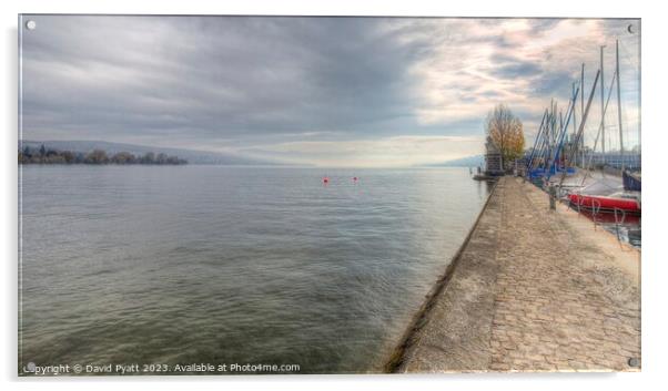 Lake Zurich Switzerland Panorama   Acrylic by David Pyatt