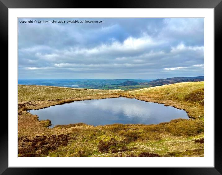 Dive into the Magic of Mermaid Pool Framed Mounted Print by tammy mellor