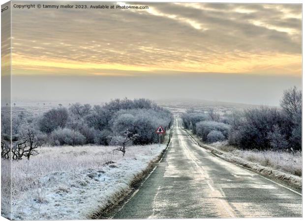 A Frosty Morning Drive Canvas Print by tammy mellor