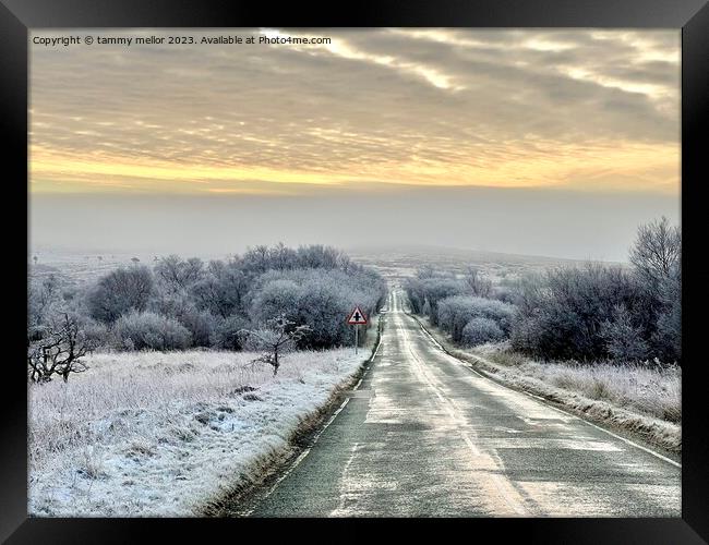 A Frosty Morning Drive Framed Print by tammy mellor