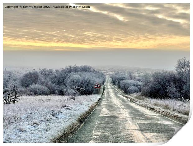 A Frosty Morning Drive Print by tammy mellor