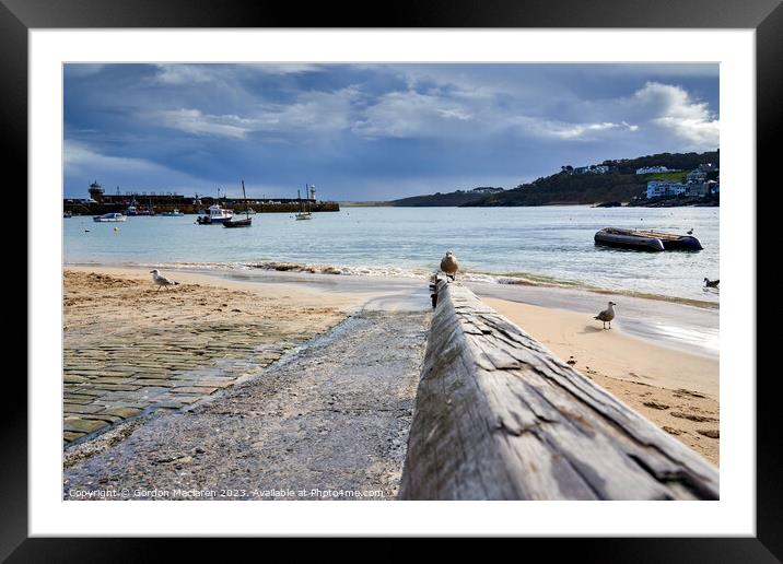 Approaching Gull, St Ives Cornwall Framed Mounted Print by Gordon Maclaren