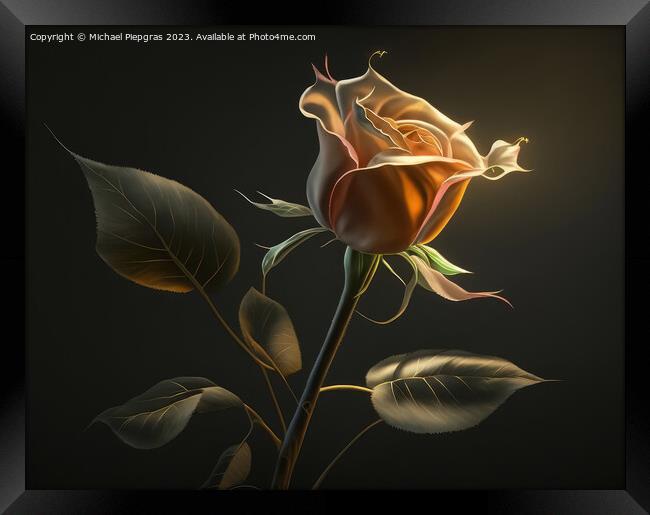 A long-stemmed rose with golden petals against a dark background Framed Print by Michael Piepgras