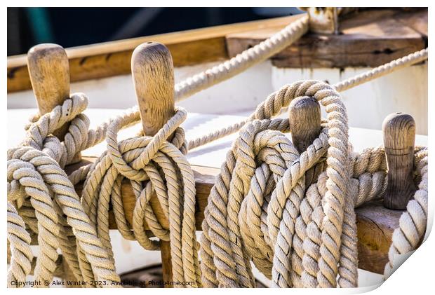 The Majestic Beauty of Nautical Ropes Print by Alex Winter