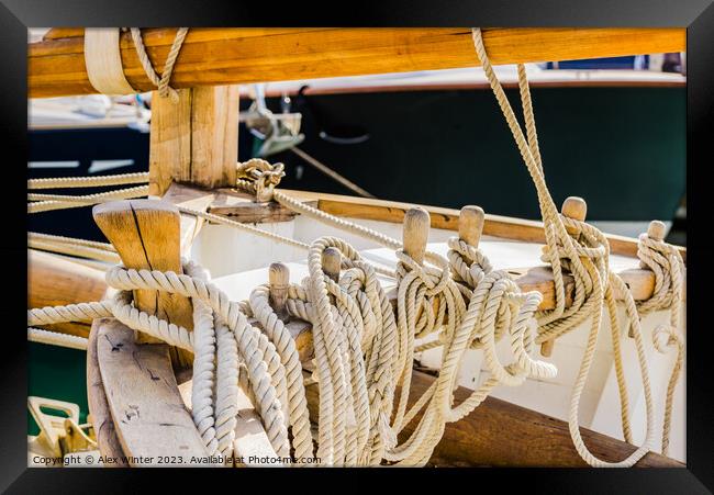 Deatial image of moored ropes Framed Print by Alex Winter