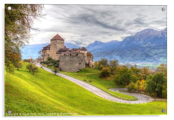 Vaduz Castle Liechtenstein  Acrylic by David Pyatt