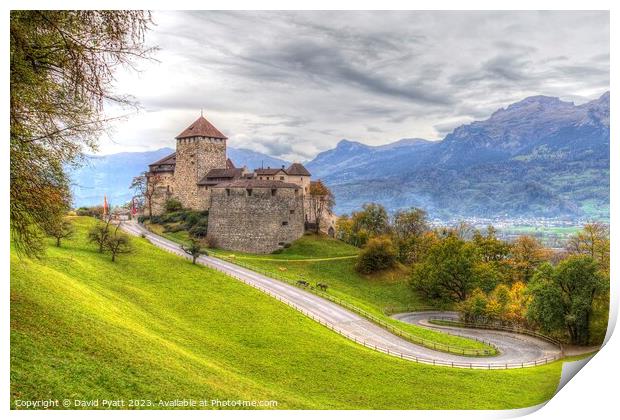 Vaduz Castle Liechtenstein  Print by David Pyatt