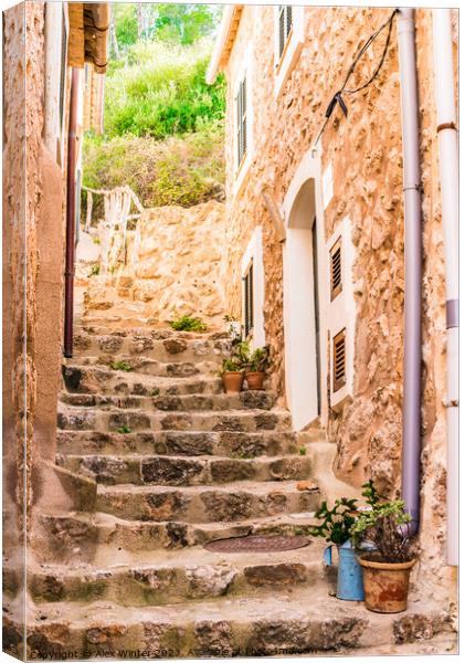 Ancient Stairway to Mediterranean Bliss Canvas Print by Alex Winter