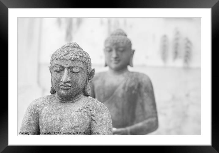 Serene Two Buddha statues Framed Mounted Print by Alex Winter