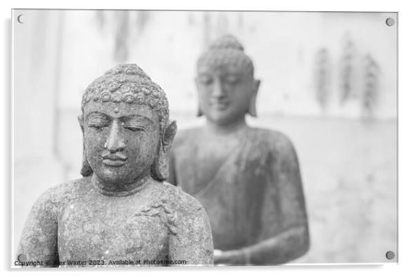 Serene Two Buddha statues Acrylic by Alex Winter