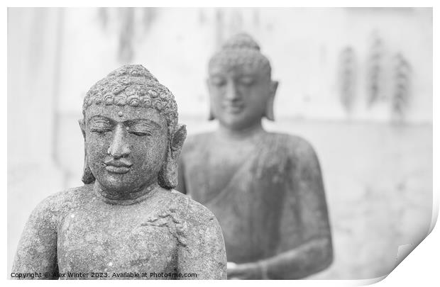 Serene Two Buddha statues Print by Alex Winter