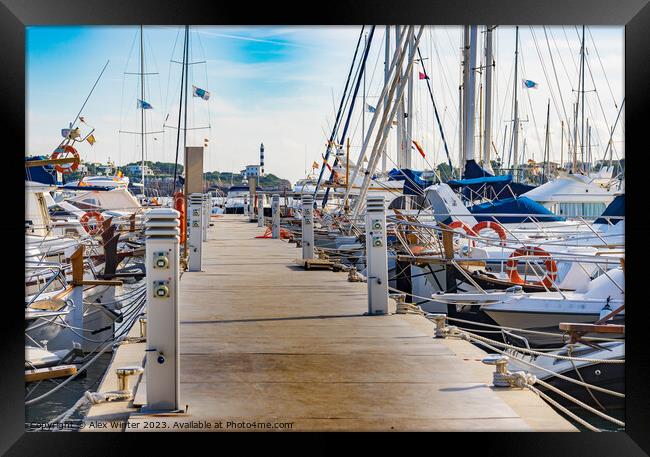 Sailing boats moored at the pier in Portocolom Framed Print by Alex Winter