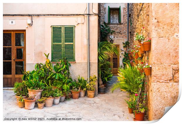 Idyllic view of Valldemossa Print by Alex Winter