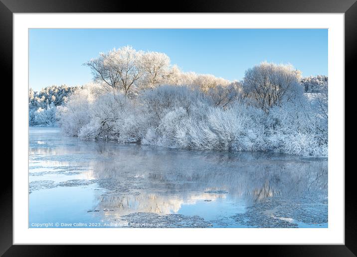 Reflections of snow covered trees in the River Teviot, Scottish Borders, United Kingdom Framed Mounted Print by Dave Collins