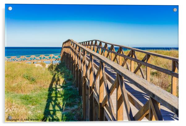 Wooden footbridge over the sand dunes to the beach of Alcudia Acrylic by Alex Winter