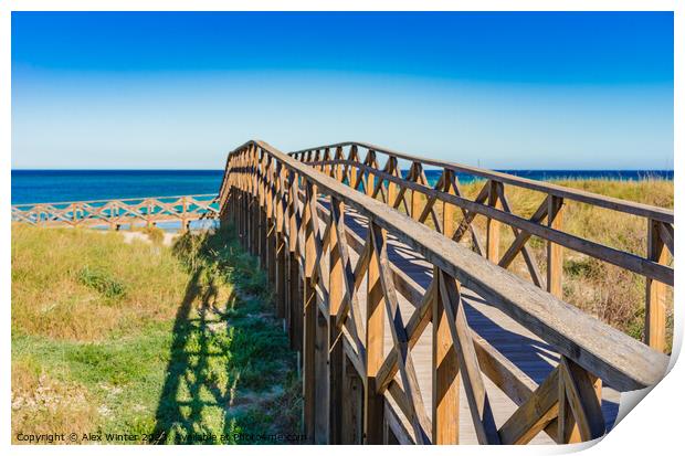 Wooden footbridge over the sand dunes to the beach of Alcudia Print by Alex Winter