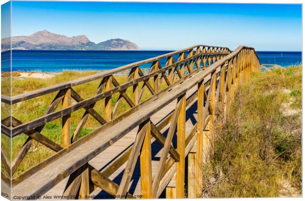 Wooden footbridge over sand dunes Canvas Print by Alex Winter
