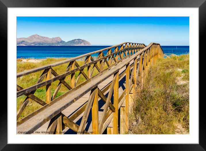 Wooden footbridge over sand dunes Framed Mounted Print by Alex Winter