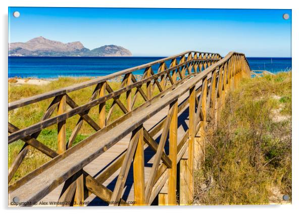 Wooden footbridge over sand dunes Acrylic by Alex Winter