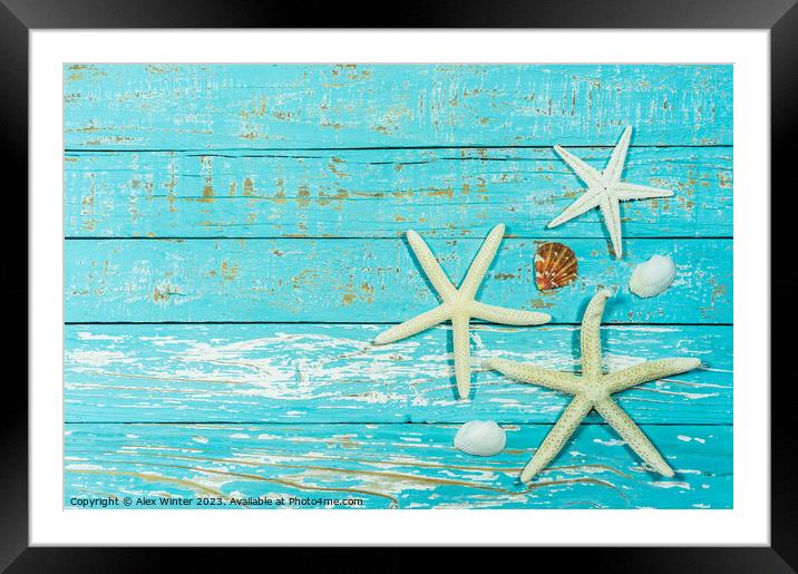 Summer decoration with starfish and seashell Framed Mounted Print by Alex Winter