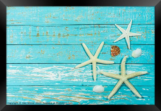 Summer decoration with starfish and seashell Framed Print by Alex Winter